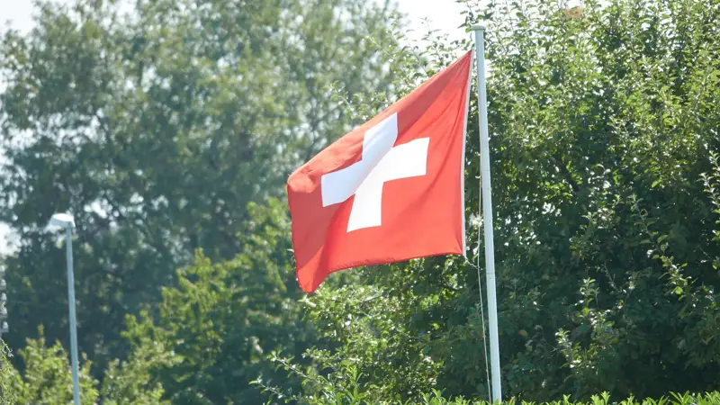 Швейцария туы