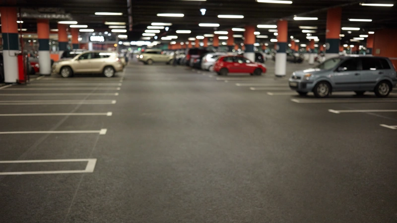 Паналау орны