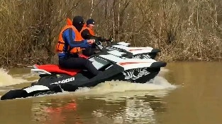 Баланы іздеу