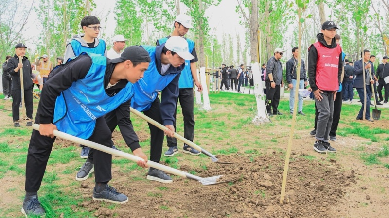 Қызылорда облысы әкімінің баспасөз қызметі