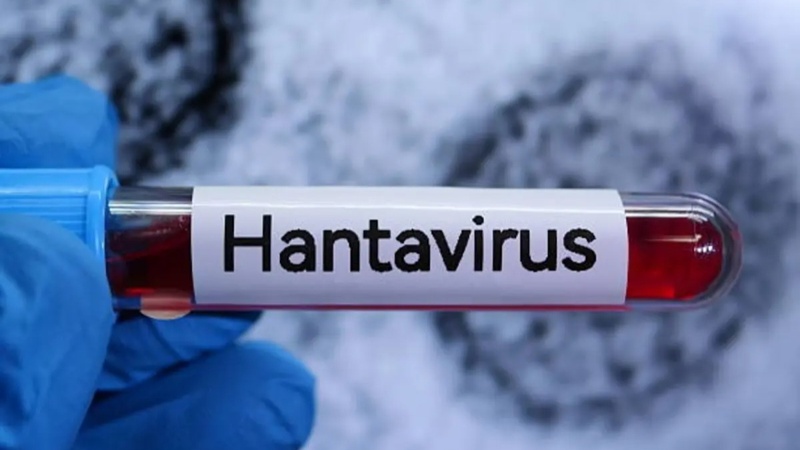 Хантавирус
