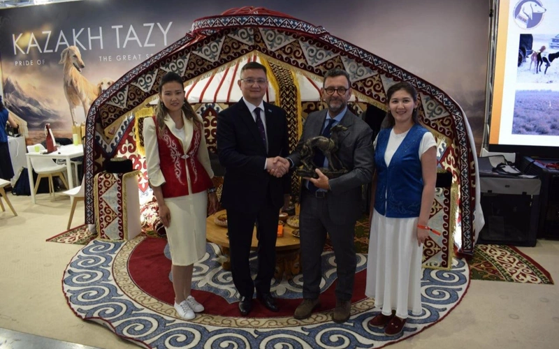 Тазы