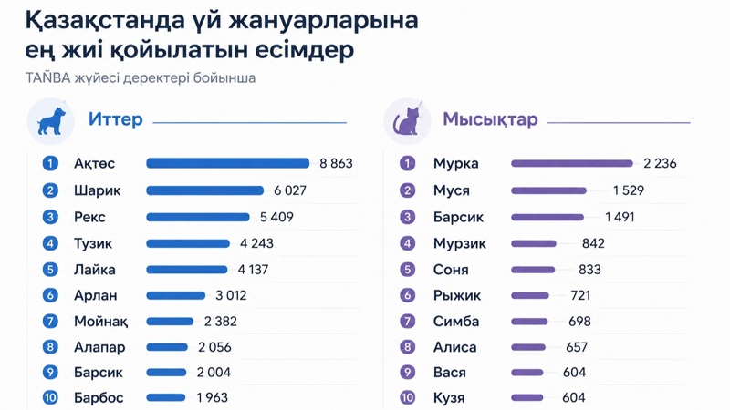 Инфографика